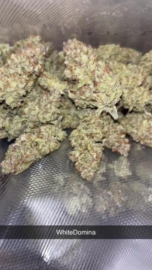 WhiteDomina by Kannabia