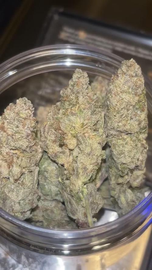 Caramel Cream by HSC