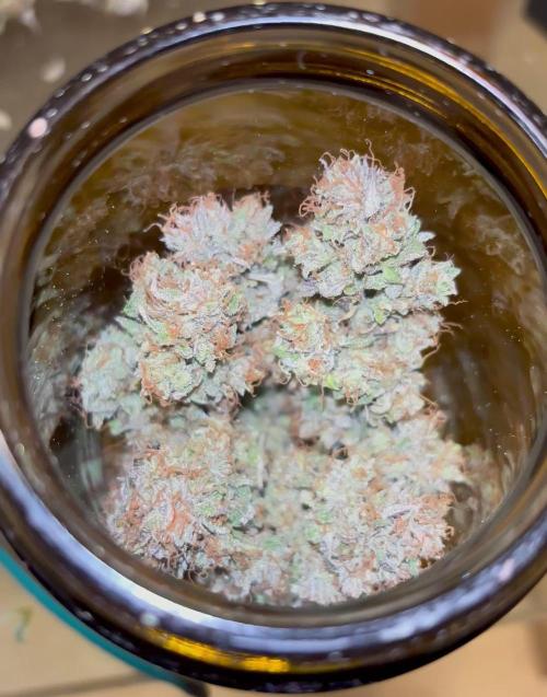 Sun-of-a-Peach by Anesia