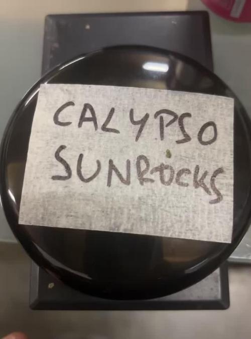 Calypso Sunrocks by Anesia Seeds