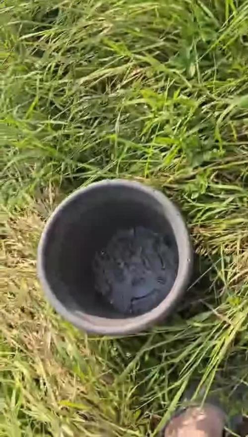 Caramel Cream by HSC