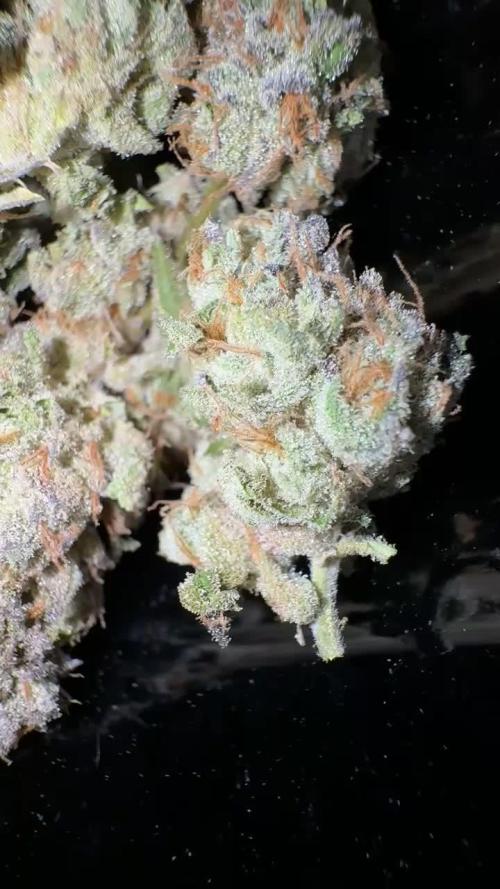 LemonCherryPop @Cookies