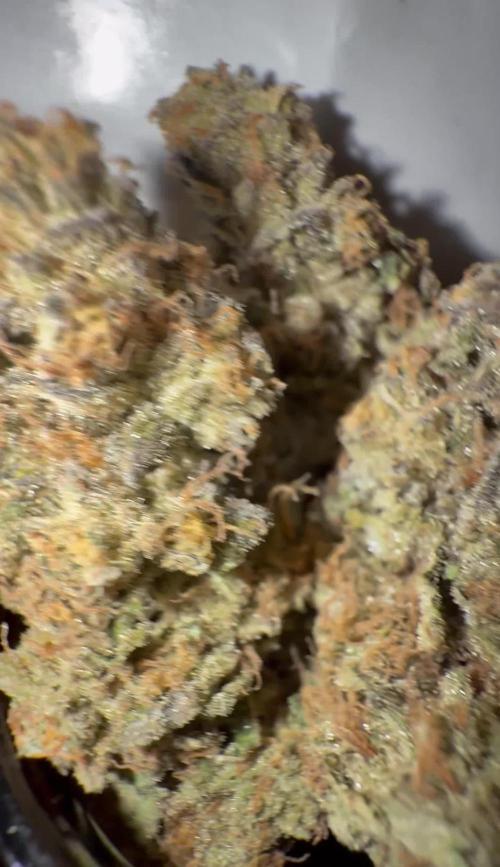 APPLES&BANANAS BY KANNABIA