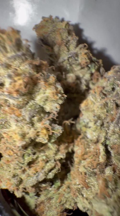 APPLES&BANANAS BY KANNABIA