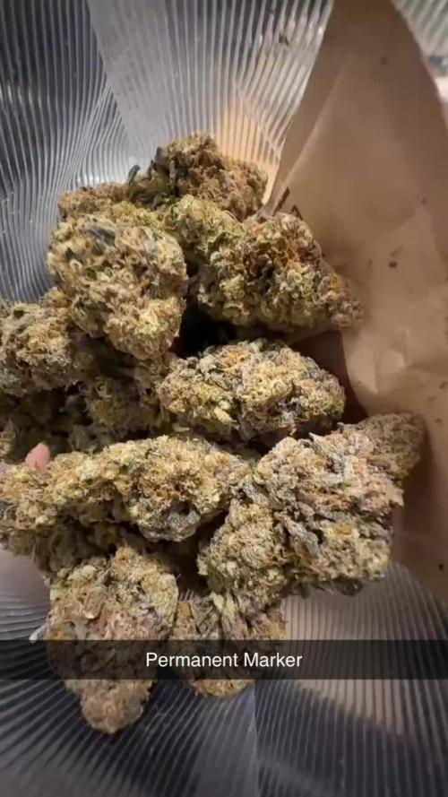 Permanent Marker by Doja x SeedJunky