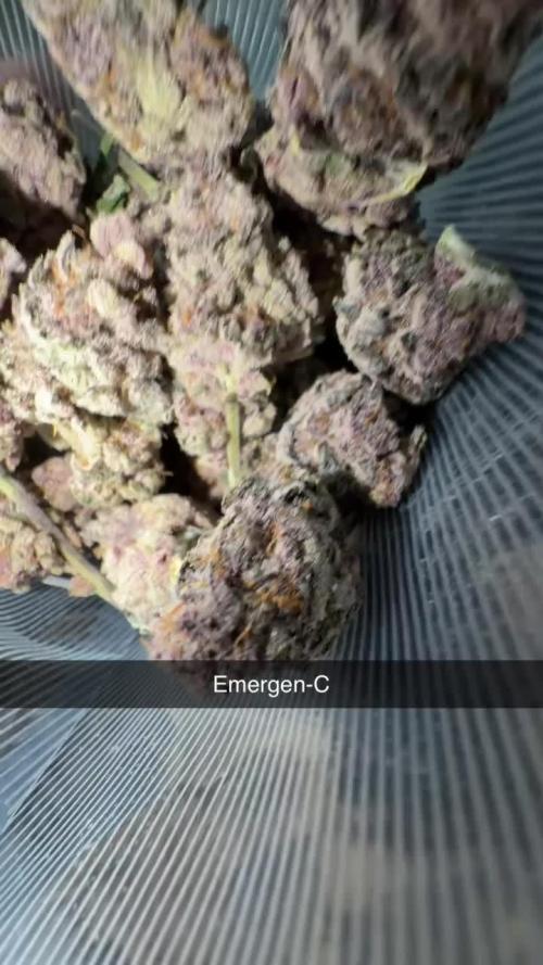 Emergen C by Seedjunky