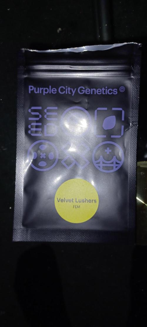 💜Velvet Lushers Living SOIL ♻️. Week 0