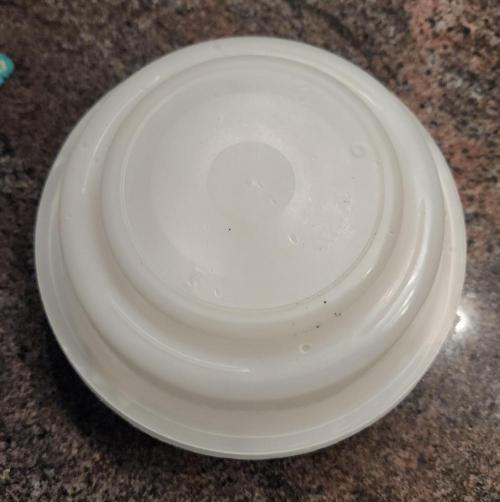 Butterbean Birdseed - Fast Flowering LSO. Week 0 - 01/17/26