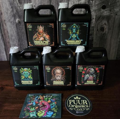 Butterbean Birdseed - Fast Flowering LSO. Week 0 - PUUR Organics 