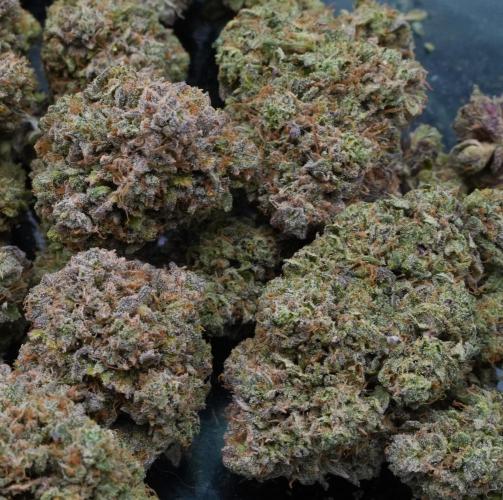 LSO Autoflowers 2.0 !. Week 12 - Grape Gorilla HARVEST