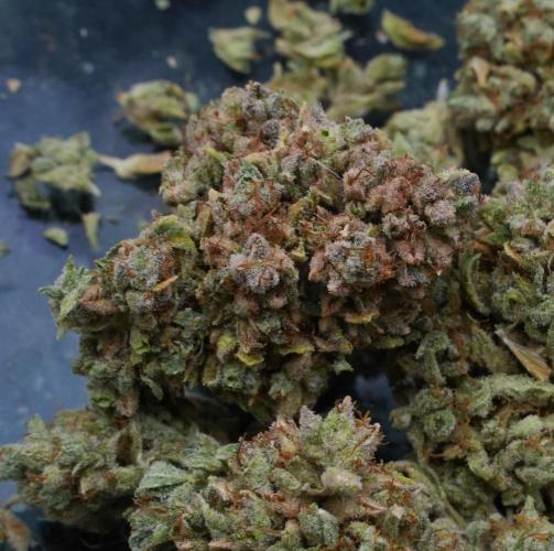 LSO Autoflowers 2.0 !. Week 12 - Grape Tuna HARVEST