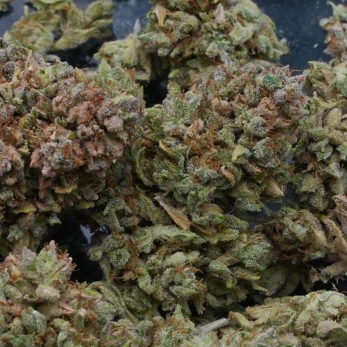 LSO Autoflowers 2.0 !. Week 12 - Grape Tuna HARVEST