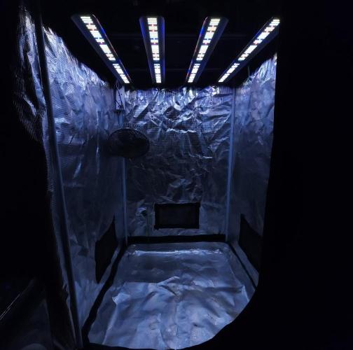 Night Owl LSO/Organics !. Week 0 - 2x2 Setup 04/21/26