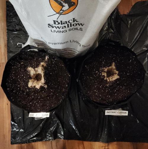 Night Owl LSO/Organics !. Week 0 - 04/26/26
