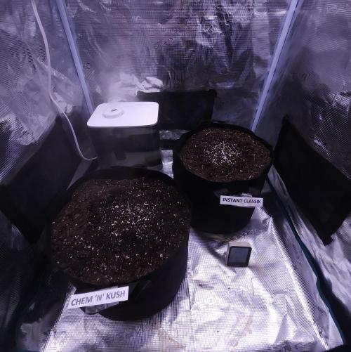 Night Owl LSO/Organics !. Week 0 - 04/26/26