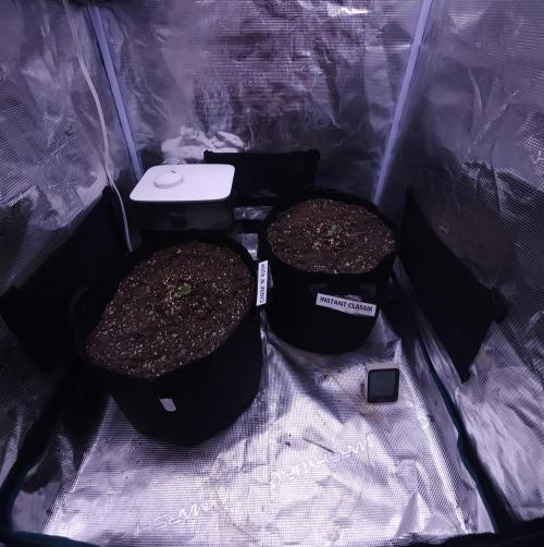 Night Owl LSO/Organics !. Week 1 - 05/03/26