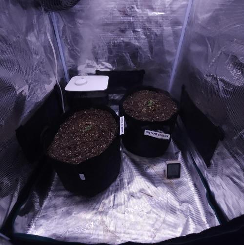 Night Owl LSO/Organics !. Week 1 - 05/04/26