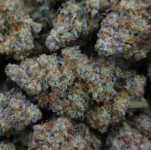 Romdog/Garlic Fever LSO + Organics !. Week 17 - Garlic Fever (HARVEST)
