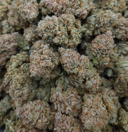 Romdog/Garlic Fever LSO + Organics !. Week 17 - Romdog HARVEST