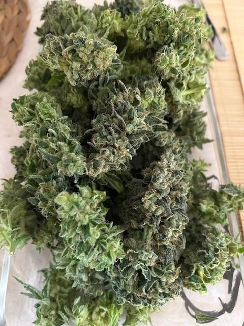 Psicodelicia. Week 16