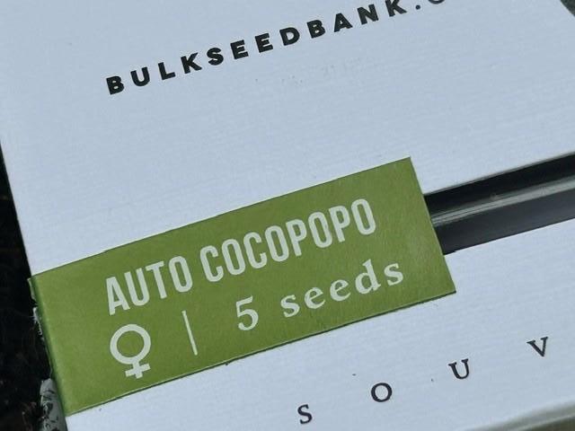 Auto Cocopopo Outdoors. Week 0