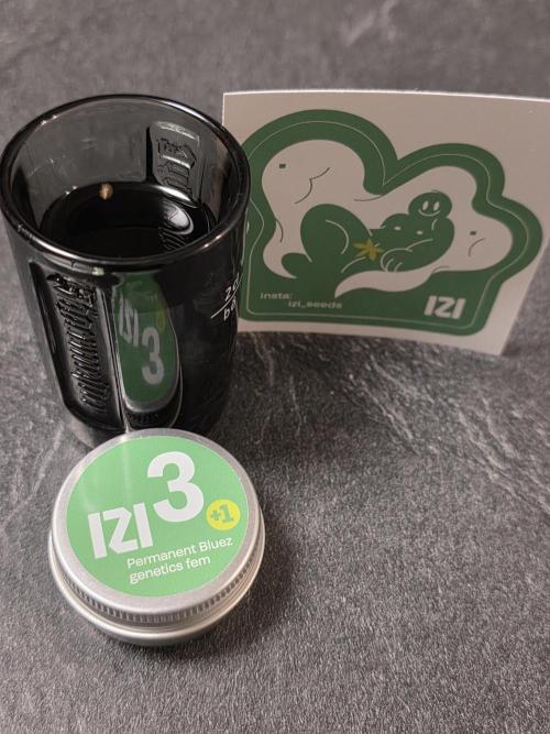 IZI Seeds GC 2025 🏆 Permanent Bluez. Week 0