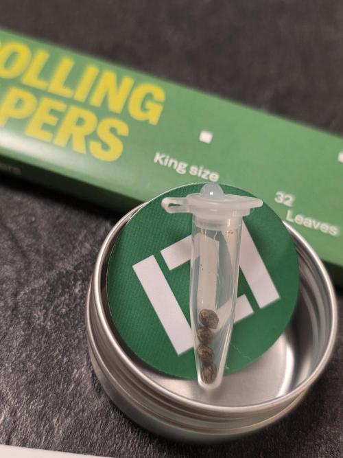 IZI Seeds GC 2025 🏆 Permanent Bluez. Week 0