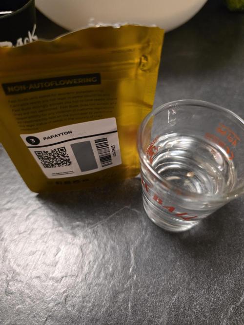 Balling like Papayton 🏀 by Fast Buds. Week 0