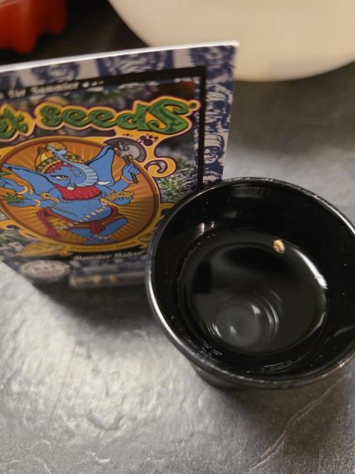 Monster Maker by Sweet Seeds. Week 0