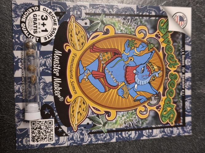 Monster Maker by Sweet Seeds. Week 0