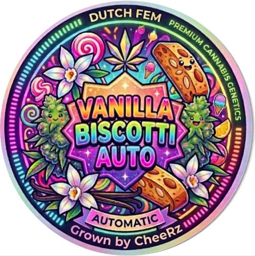 Biscotti Vanilla Auto ☀️ DutchFem. Week 0