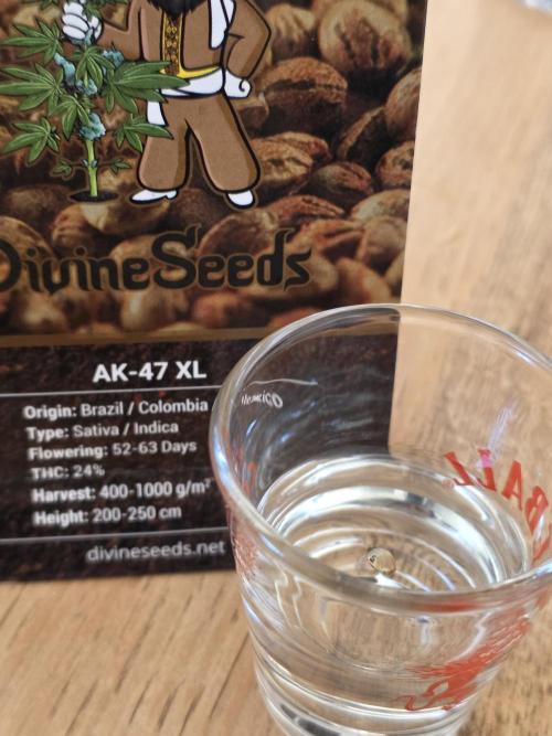 Buds instead of Bullets! AK-47 XL Divine. Week 0