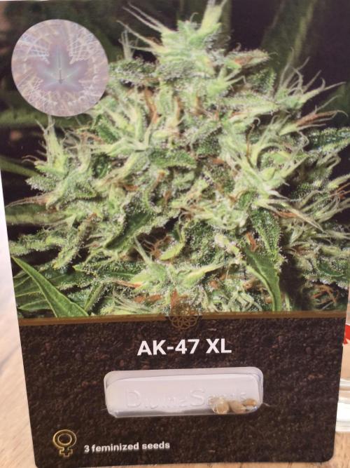 Buds instead of Bullets! AK-47 XL Divine. Week 0