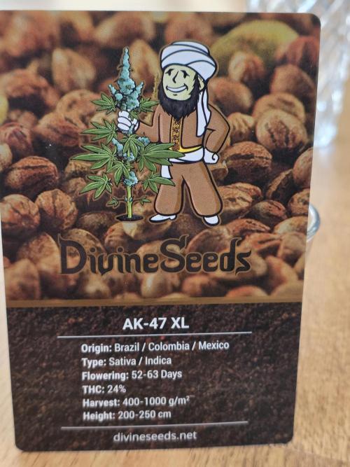 Buds instead of Bullets! AK-47 XL Divine. Week 0