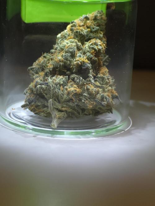 Buds instead of Bullets! AK-47 XL Divine. Week 16