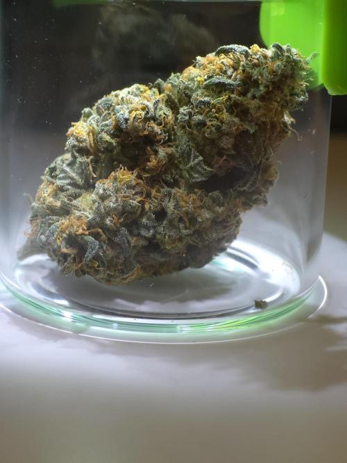 Buds instead of Bullets! AK-47 XL Divine. Week 16