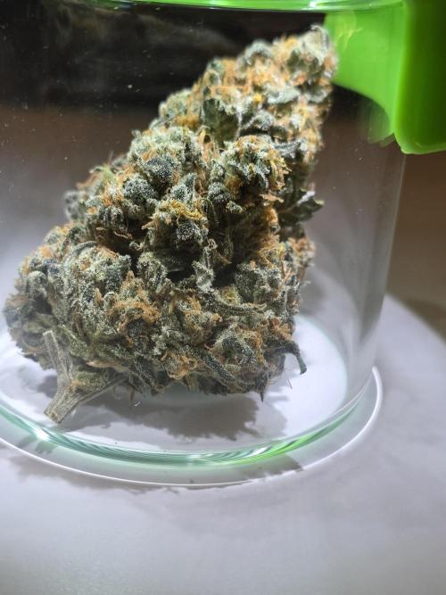 Buds instead of Bullets! AK-47 XL Divine. Week 16