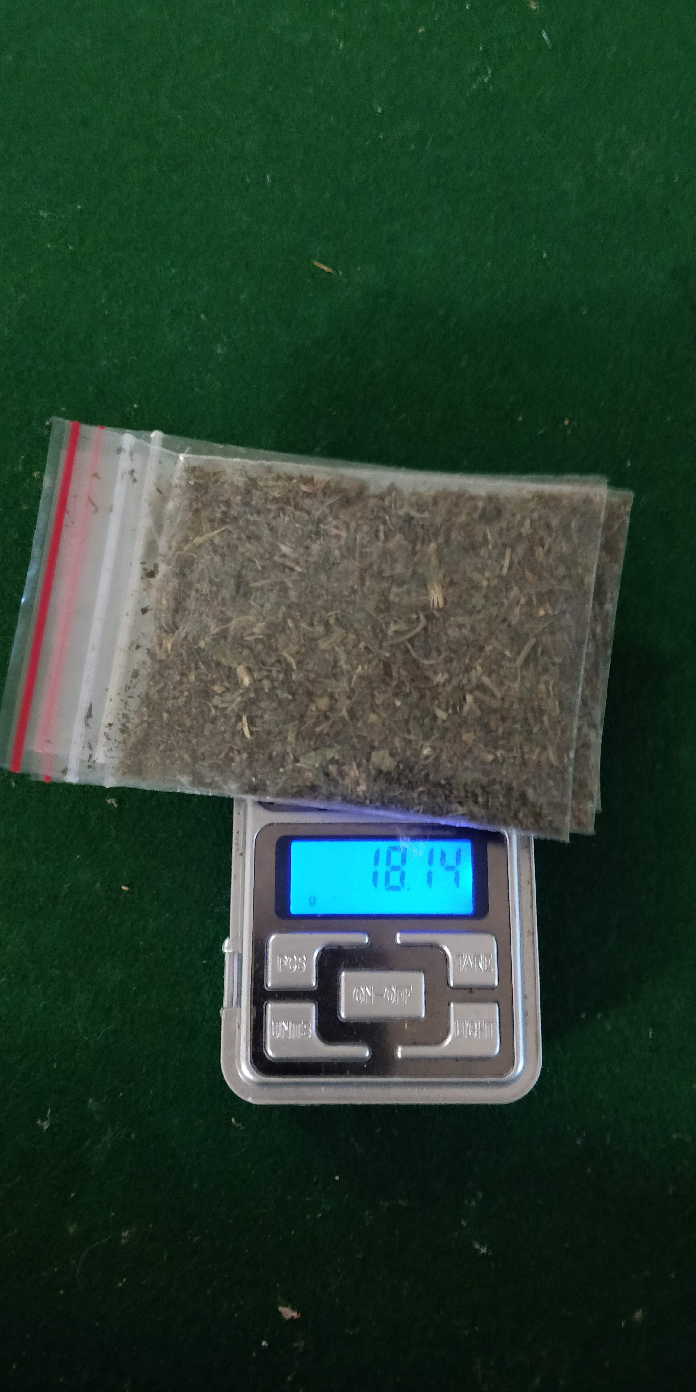Fast Buds Northern Lights Auto grow diary (journal) week9 by vikster GrowDiaries