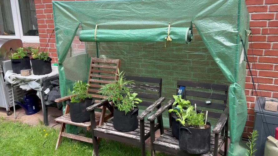 2025 Do Si Dos Auto Outdoor