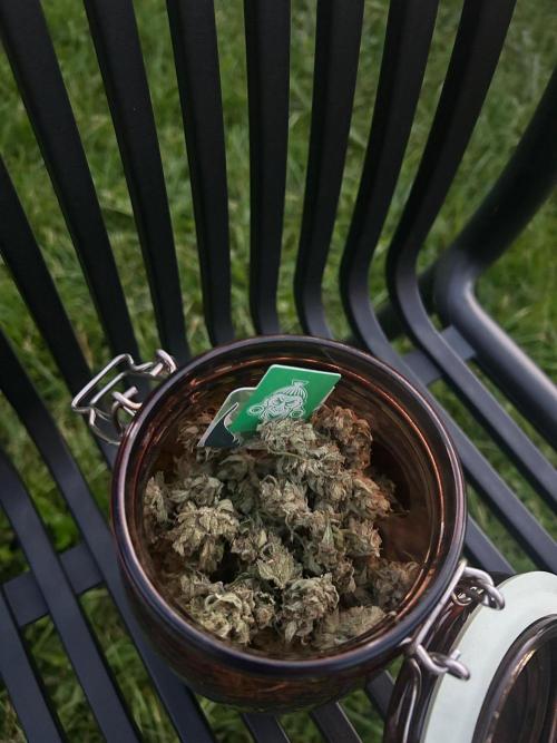 2026 Wedding Cake Auto. Week 14