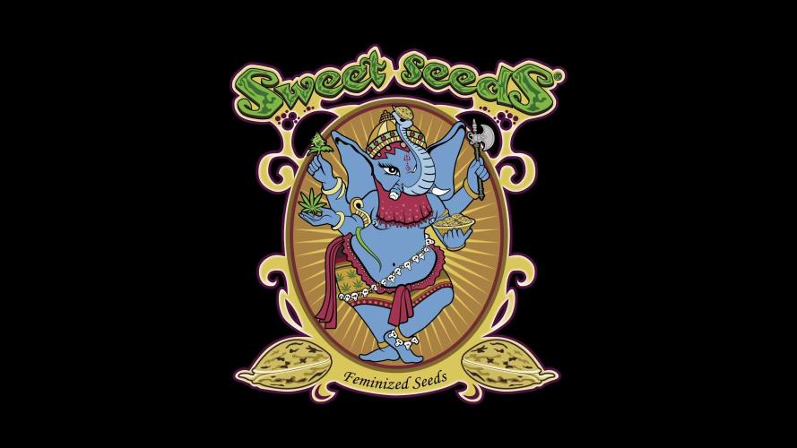 Sweet Seeds | Jet Fuel Mandarine XL Auto l 3 Plants