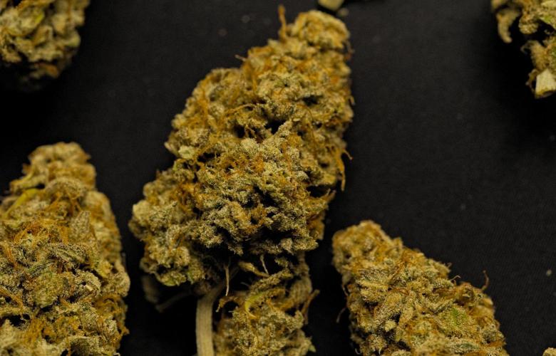 Strawberry Cake Auto | Ganja Farmer. Week 13