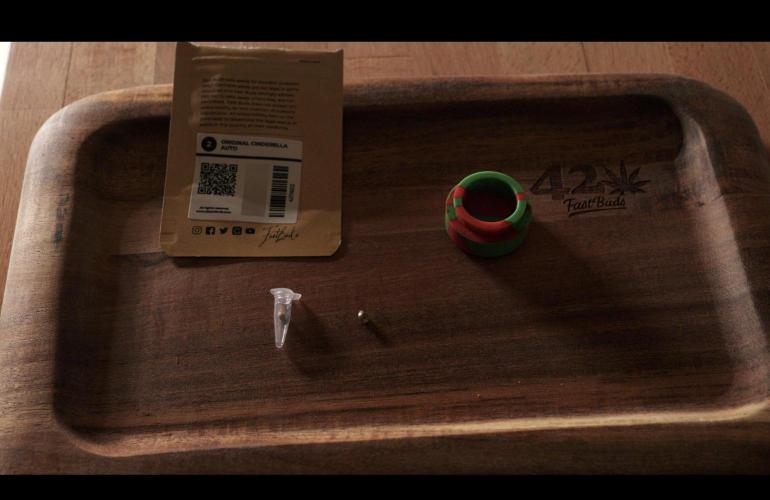 Cinderella | Fastbuds. Week 0