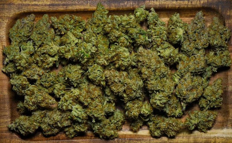 Skywalker OG Runtz/Gelato ✮✮✮. Week 11