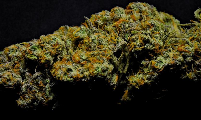 Skywalker OG Runtz/Gelato ✮✮✮. Week 11