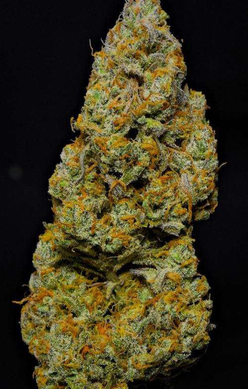 Skywalker OG Runtz/Gelato ✮✮✮. Week 11