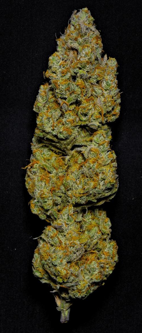 Skywalker OG Runtz/Gelato ✮✮✮. Week 11