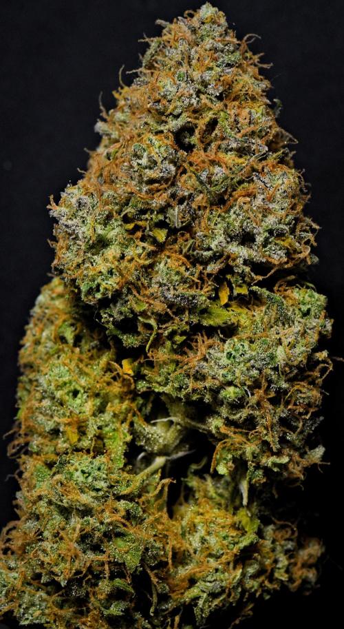 Skywalker OG Runtz/Gelato ✮✮✮. Week 11