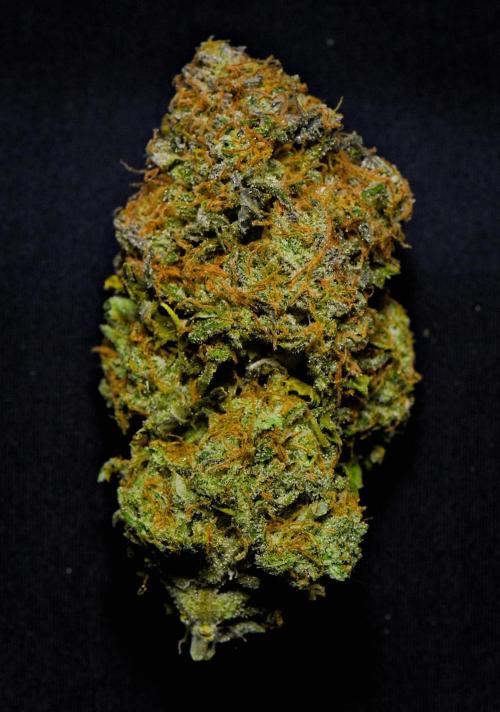 Skywalker OG Runtz/Gelato ✮✮✮. Week 11