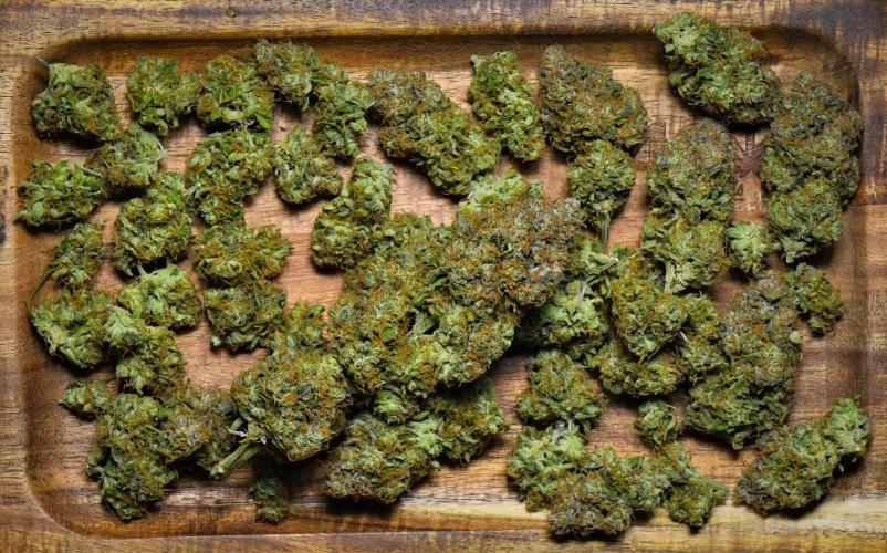 Skywalker OG Runtz/Gelato ✮✮✮. Week 11